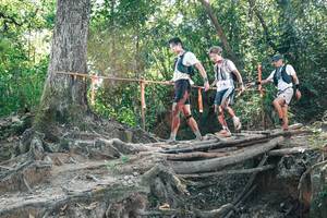 BIB: 
                            <button type="button" onclick="openModal(27743770)" class="btn btn-primary btn-sm float-right btn-popup" data-toggle="modal" data-target=".modal-high-quality">
                        <i class="fas fa-shopping-cart"></i> Add to Cart
                    </button>
                                            <button type="button" onclick="isThisMe(27743770, true)" class="btn btn-success btn-sm float-right btn-popup btn-isme hidden" data-toggle="tooltip" data-placement="bottom" title="นี่คือรูปของคุณใช่ไหม คลิกที่นี่เพื่อเอาเข้าอัลบั้ม">
                        <i class="fas fa-plus"></i> Add to album
                    </button>
                    <button type="button" onclick="isThisMe(27743770, false)" class="btn btn-warning btn-sm float-right btn-popup btn-isnotme hidden">
                        <i class="fas fa-ban"></i> Remove from album
                    </button>